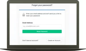 Password reset feature